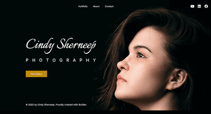 An example of a portfolio plugin, created using SeedProd