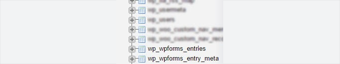The wp_wpforms_entries and wp_wpforms_entry_meta tables shown in the phpMyAdmin list The wp_wpforms_entries and wp_wpforms_entry_meta tables shown in the phpMyAdmin list