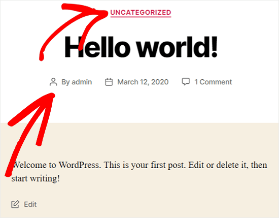 wordpress-post-metadata view wordpress metadata on front end