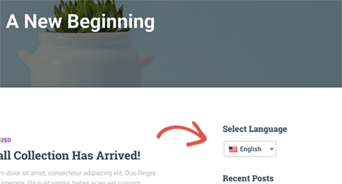 Shortcode switcher Shortcode switcher