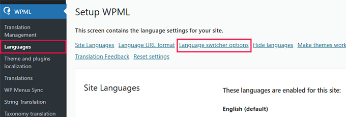 Language switcher options Language switcher options