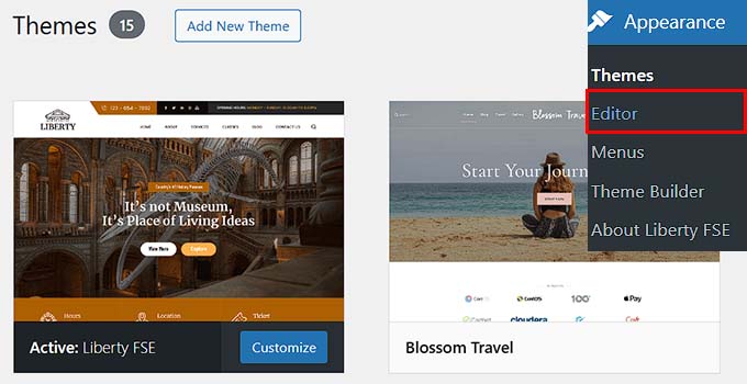 Opening the full-site editor (FSE) in WordPress Opening the full-site editor (FSE) in WordPress
