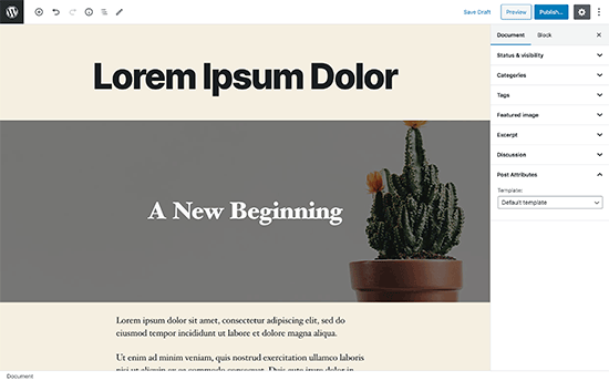 Fullscreen editor in WordPress Fullscreen editor in WordPress