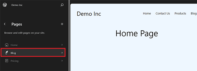 Select Blog page option from the left column Select Blog page option from the left column