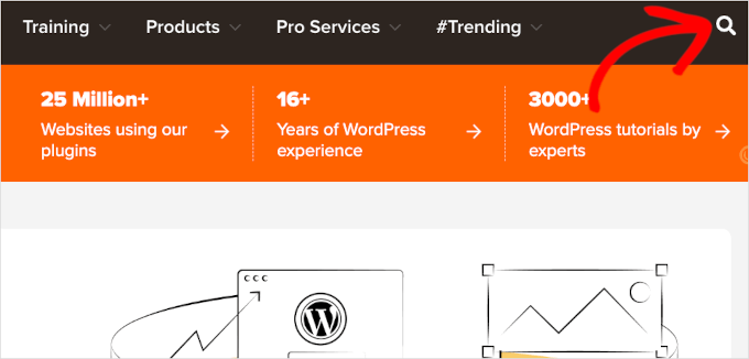 Search feature on WPBeginner Search feature on WPBeginner