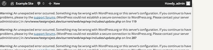 WordPress secure connection error