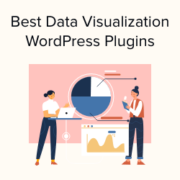 I migliori plugin WordPress per la visualizzazione dei dati