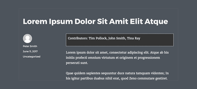 Co-authors displayed using custom fields Coauthors custom fields preview
