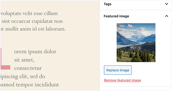 Featured image preview in post editor Featured image preview in post editor