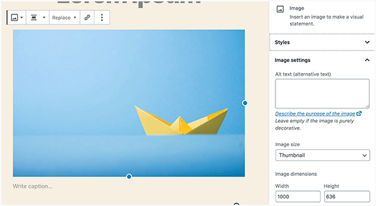Image preview Image preview