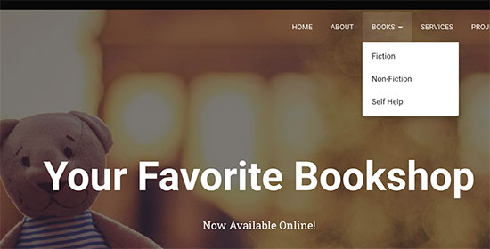 Agregar taxonomía personalizada en el menú de navegación