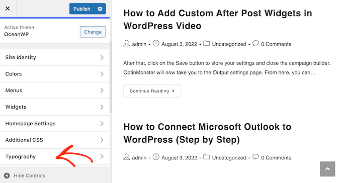 The theme customizer Typography settings The theme customizer Typography settings