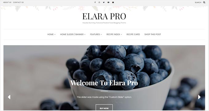 Elara Pro Elara Pro