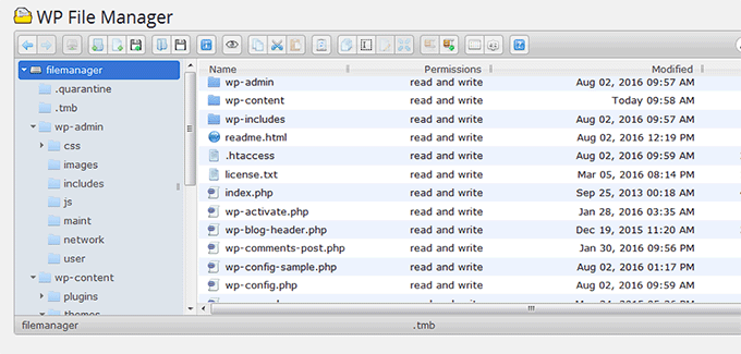 View files in the File Manager plugin