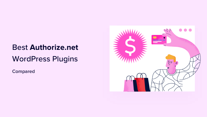 The Best Authorize.Net plugins for WordPress best authorize.net wordpress plugins