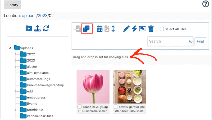 Kopiowanie plików multimedialnych w bibliotece WordPress
