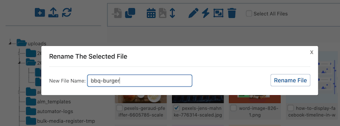 Jak zmienić nazwy plików graficznych w WordPress