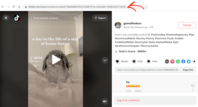 Lägga till en TikTok-video på en sida eller ett inlägg med hjälp av WordPress blockredigerare Lägga till en TikTok-video på en sida eller ett inlägg med hjälp av WordPress blockredigerare