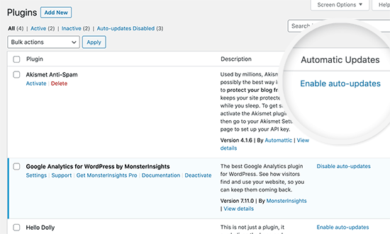 Automatische Updates für WordPress-Plugins aktivieren