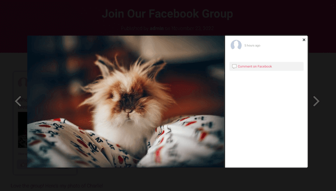 Smash Balloon のライトボックス機能