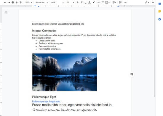 Il Google Doc con il testo che copieremo