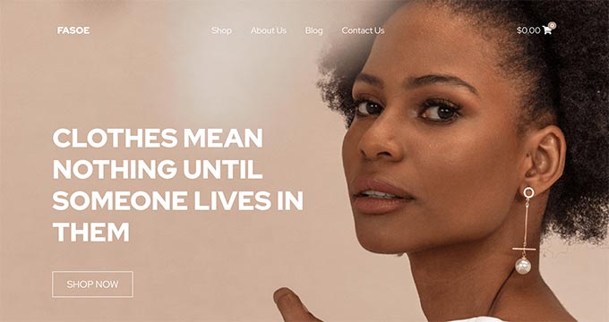 SeedProd website builder SeedProd website builder