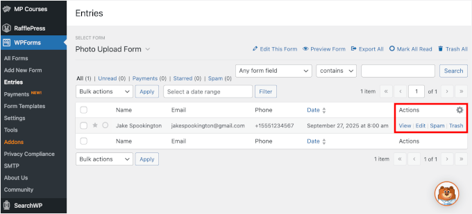 WPForms-Einträge Aktion