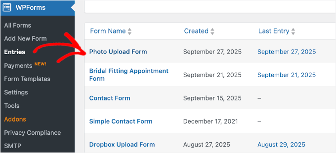 WPForms-Einträge prüfen