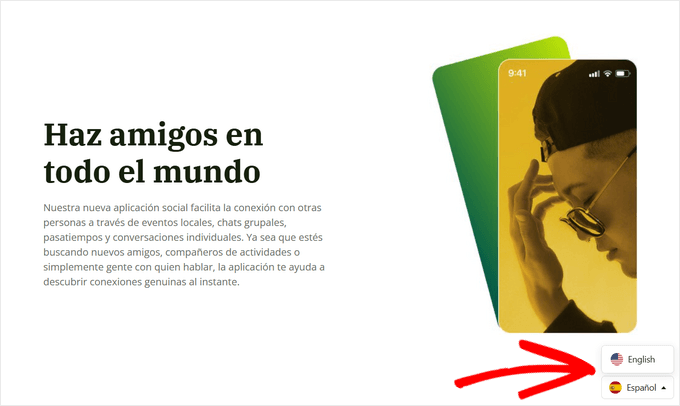 Click the language switcher to see the translation on your WordPress site