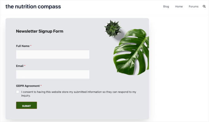 Previewing newsletter signup form Previewing newsletter signup form