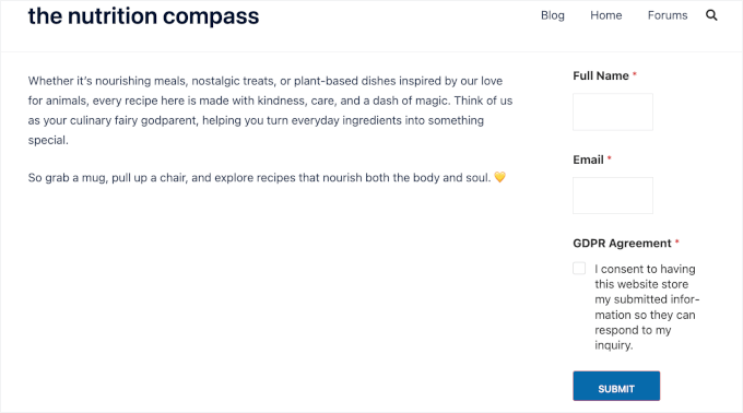 Newsletter form preview in sidebar Newsletter form preview in sidebar