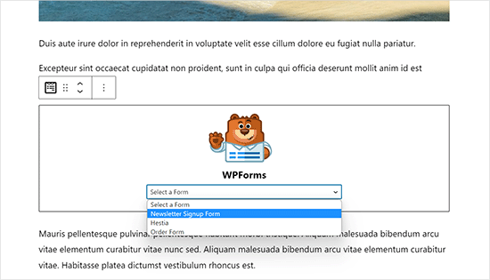Lägg till nyhetsbrevformulär i inlägg och sidor Lägg till nyhetsbrevformulär i inlägg och sidor