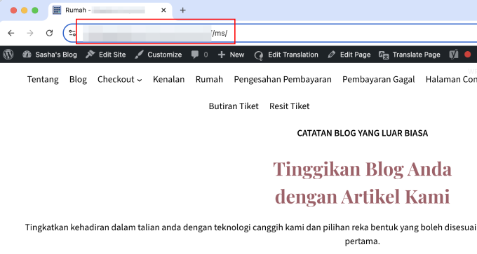 wpml-language-subdirectory WPML language subdirectory
