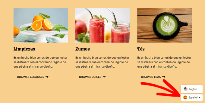 Translated WooCommerce store using Universally Translated WooCommerce store using Universally