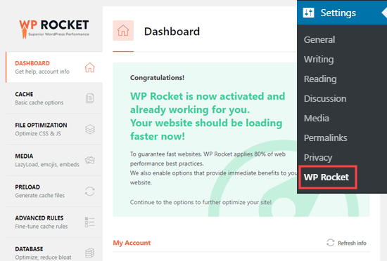The message showing that WP Rocket is active and working on your site The message showing that WP Rocket is active and working on your site