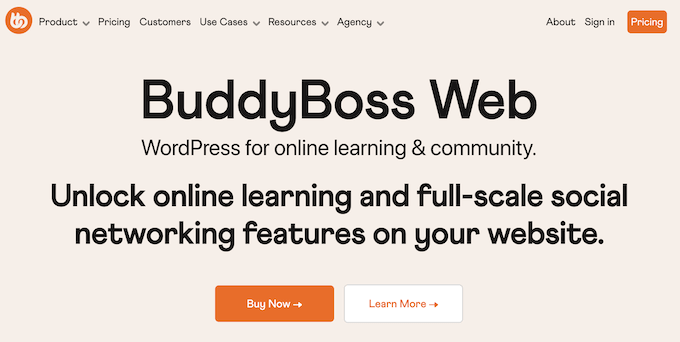 The BuddyBoss website The BuddyBoss website
