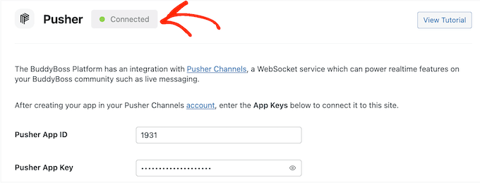 How to add live messaging to your site with Pusher and BuddyBoss How to add live messaging to your site with Pusher and BuddyBoss