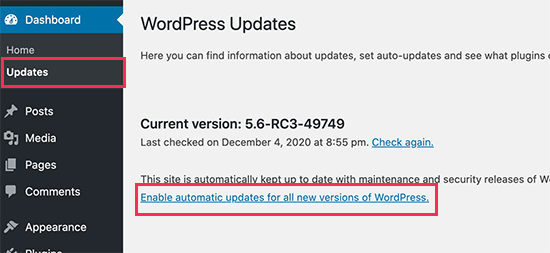 Habilita actualizaciones automáticas para las versiones principales de WordPress Habilita actualizaciones automáticas para las versiones principales de WordPress