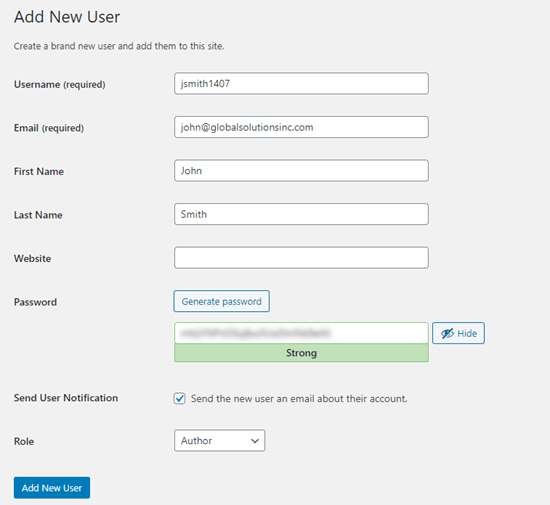 Entering the details for your new user in WordPress Entering the details for your new user in WordPress