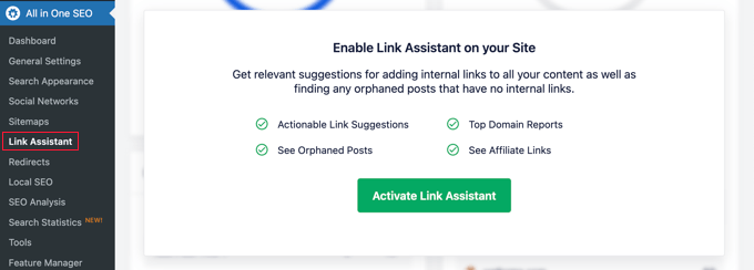 AIOSEO Activate Link Assistant AIOSEO Activate Link Assistant