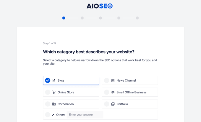 AIOSEO set up wizard - website category AIOSEO set up wizard - website category