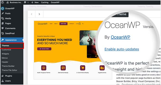 Enable theme auto-updates Enable theme auto-updates