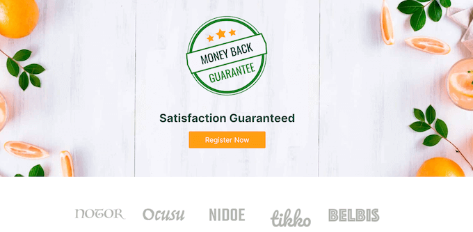 An example of a landing page, created using SeedProd and WordPress An example of a landing page, created using SeedProd and WordPress