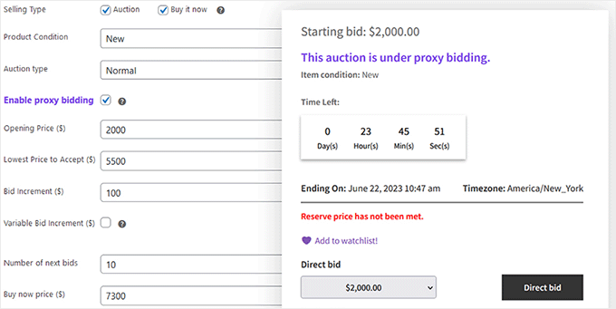 Auction settings in Ultimate Auction Pro