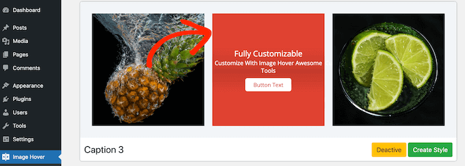 Choosing a caption image hover effect style Choosing a caption image hover effect style
