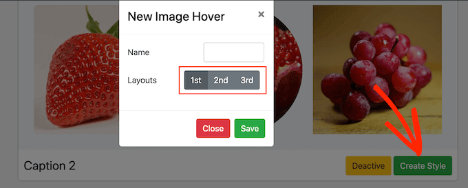 Choosing a style template for an image hover effect in WordPress Choosing a style template for an image hover effect in WordPress