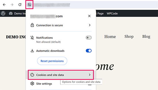 Site cookies and data in Google Chrome Site cookies and data in Google Chrome