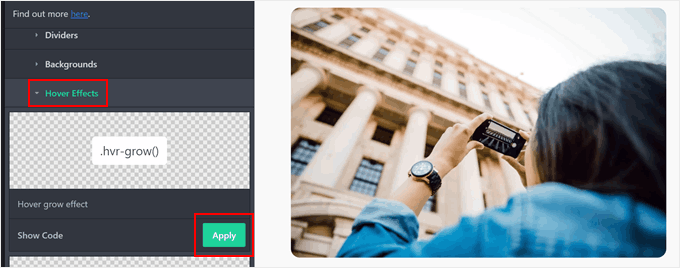 Applying an image hover effect in CSS Hero Applying an image hover effect in CSS Hero