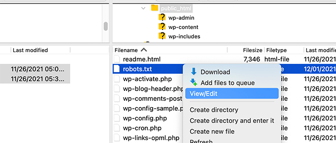 Conexão FTP robots.txt Editar arquivo robots via FTP