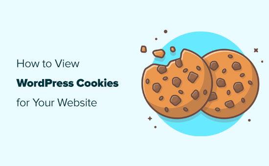 How to see which cookies are set by your WordPress website How to see which cookies are set by your WordPress website
